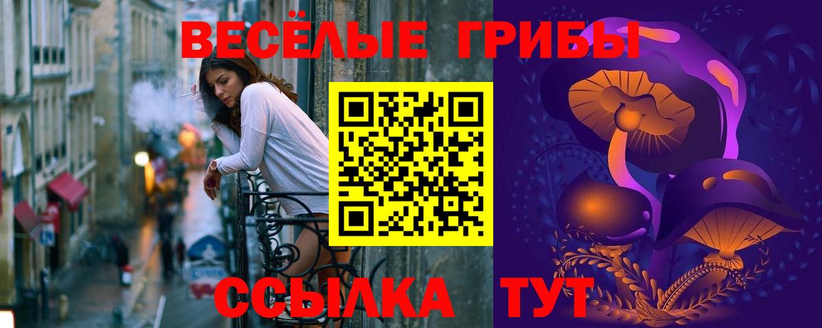 Галлюциногенные грибы Psilocybe  Псилоцибиновые грибы мухоморы  Моздок  Вход с VPN 